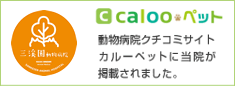 calooペット 三渓園動物病院