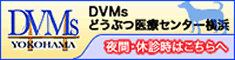 DVMsどうぶつ医療センター横浜