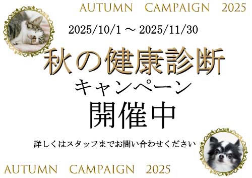 秋の健康診断キャンペーンのお知らせ